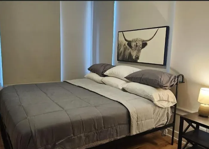 Renovated 3 Bedroom Downtown Pilsen Chicago