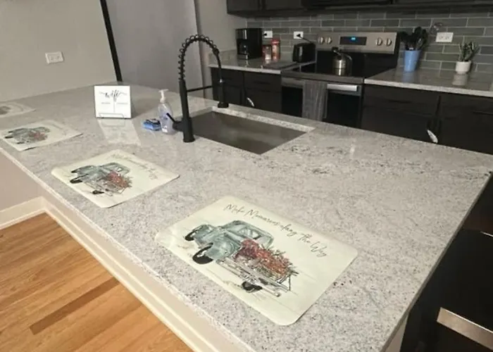 Renovated 3 Bedroom Downtown Pilsen *