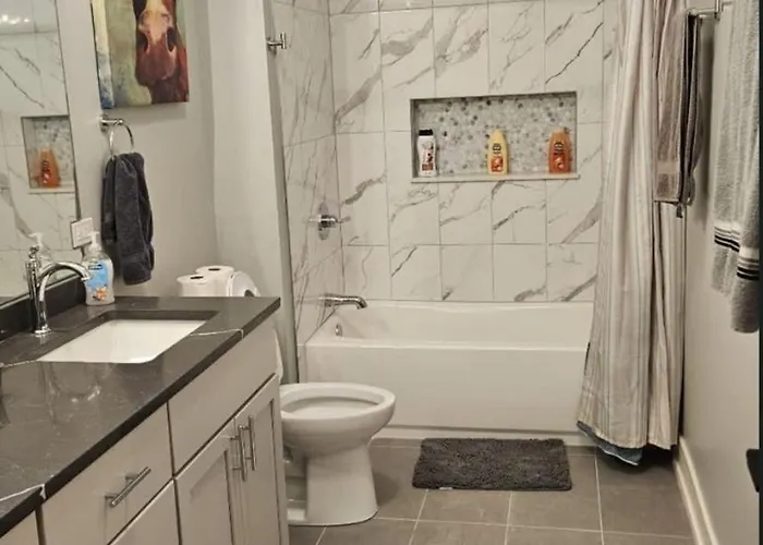 Renovated 3 Bedroom Downtown Pilsen * Chicago