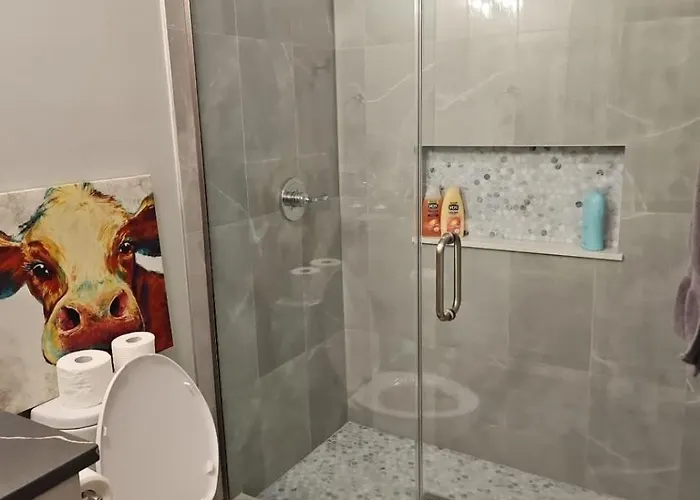 Renovated 3 Bedroom Downtown Pilsen *